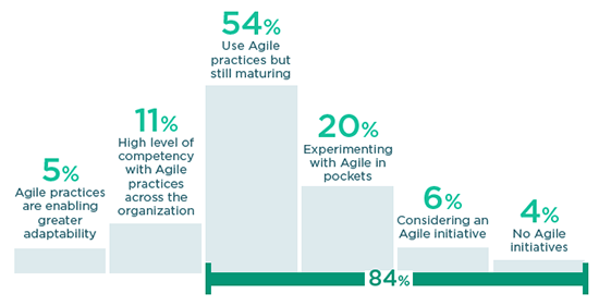 5% greater adaptability, 11% high level, 54% maturing, 20% experimenting, 6% considering, 4% no initiatives